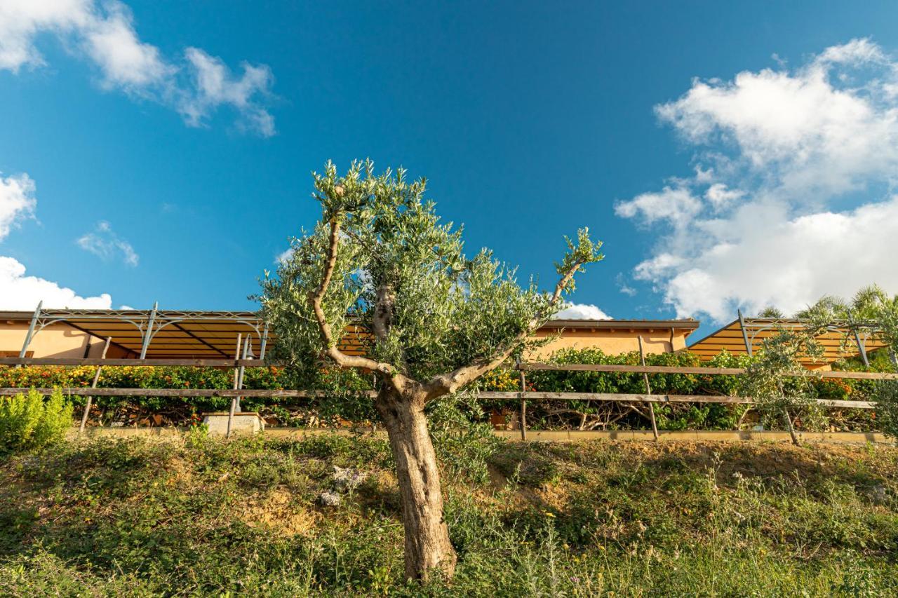 Solemar Sicilia - Le Casette Di Calzata Campofelice Di Roccella Exteriér fotografie