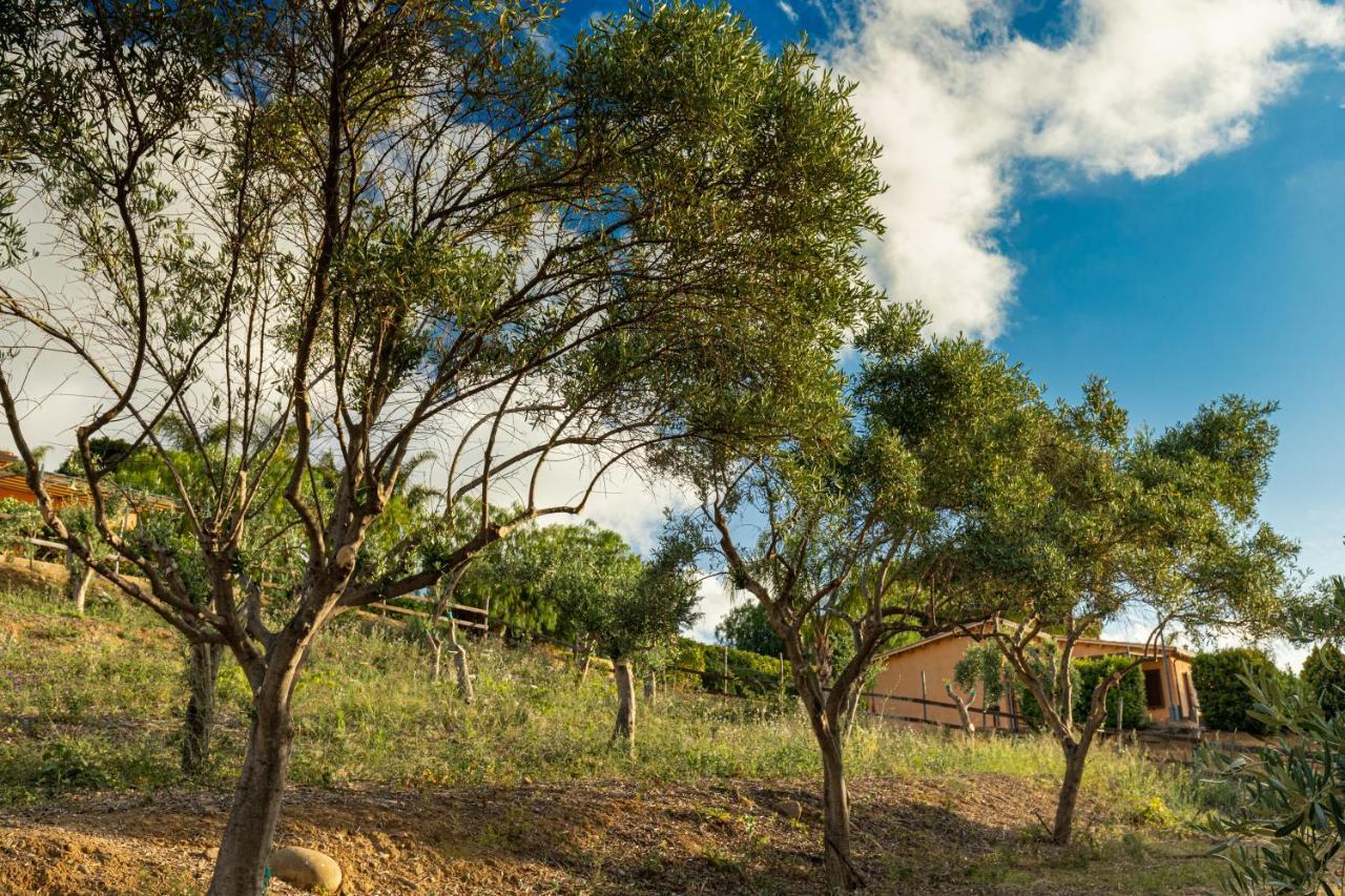 Solemar Sicilia - Le Casette Di Calzata Campofelice Di Roccella Exteriér fotografie