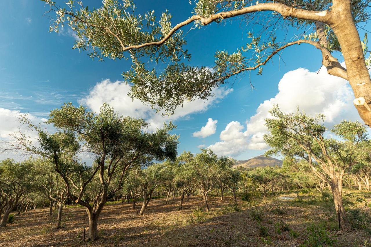 Solemar Sicilia - Le Casette Di Calzata Campofelice Di Roccella Exteriér fotografie