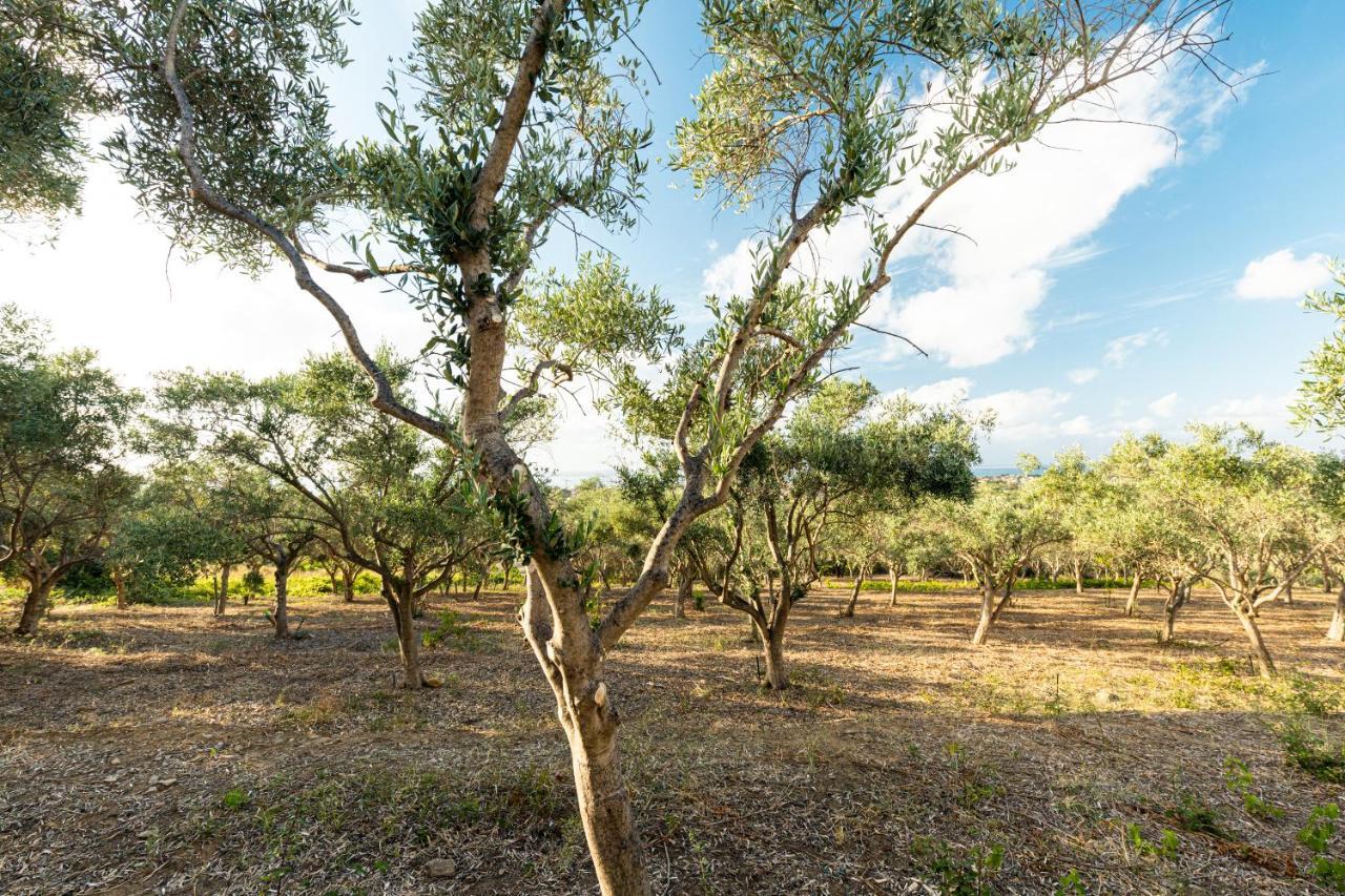 Solemar Sicilia - Le Casette Di Calzata Campofelice Di Roccella Exteriér fotografie